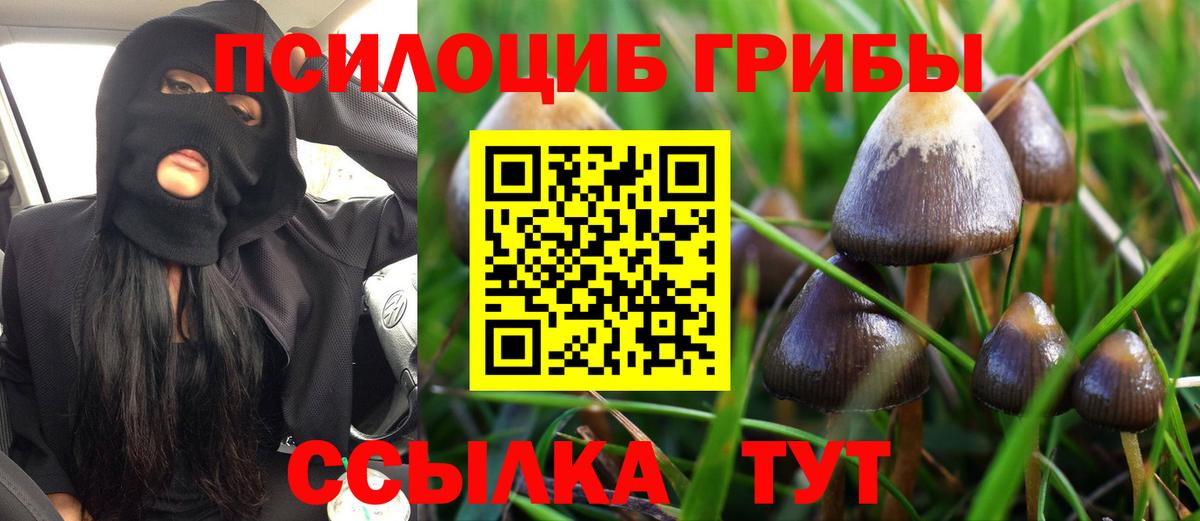 Галлюциногенные грибы Psilocybine cubensis  Вход с VPN  Котовск 